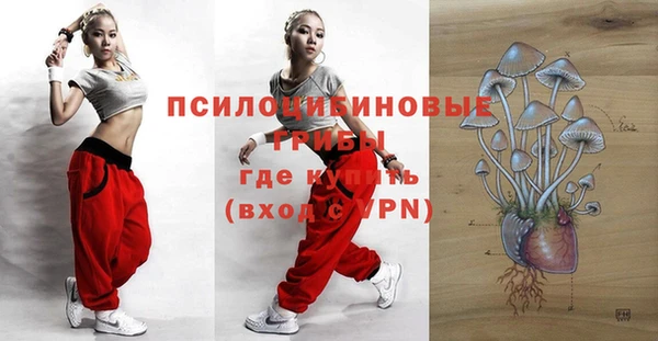 альфа пвп Алексеевка
